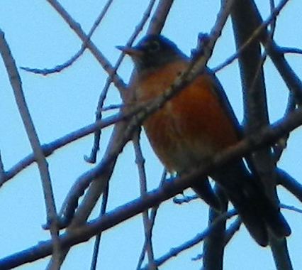Spotting Image 1