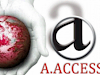 A Access Detectives