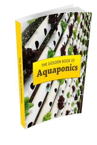 Aquaponics Guide