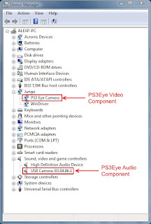PS3EyeDM.JPG