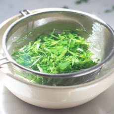 Tarragon Oil