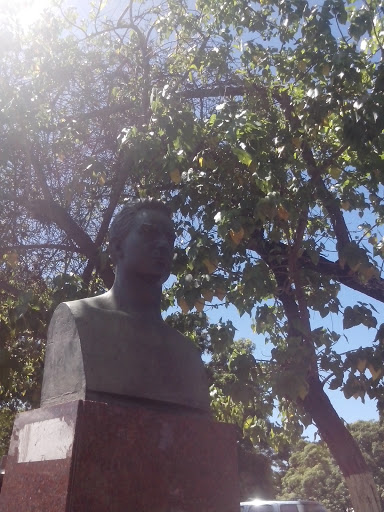 Busto Pedro Elías Aristeguieta