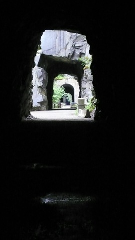 [P19005752.jpg]