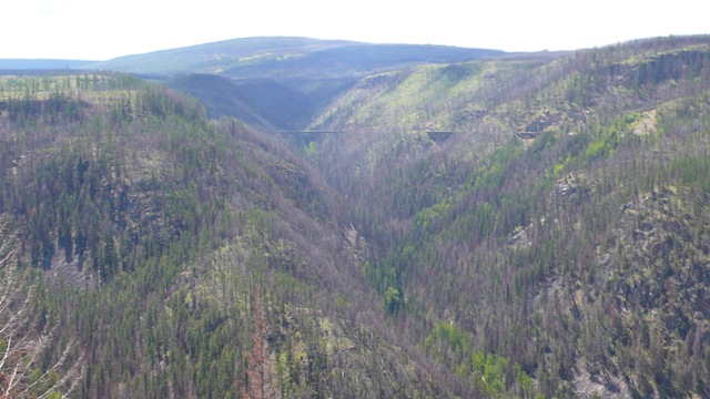 [P19200432.jpg]