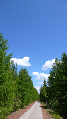 [P19200862.jpg]