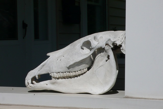 [P19702382.jpg]