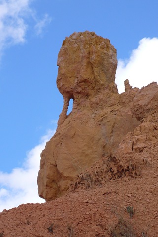[P21100852.jpg]