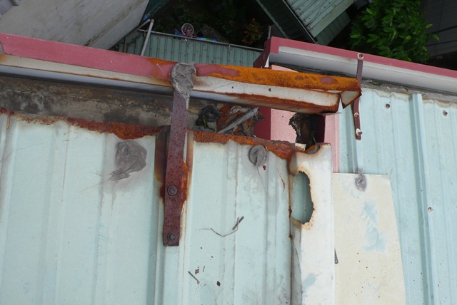 [P22309732.jpg]