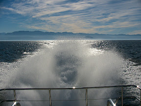 Rooster tail off the stern of Goldwing, a whale watching vessel in Victoria, B.C.