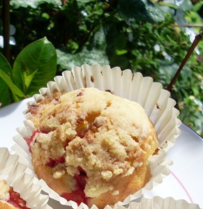 muffin fraise 2