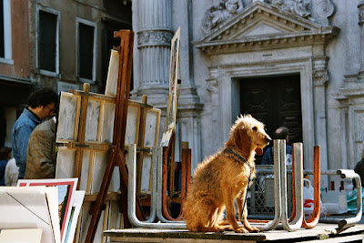 Dog Sitting in Venice