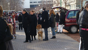 DSC01175.JPG