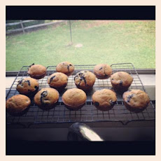 Blueberry Muffins (1 Ww Point Each)