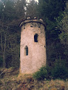 Ruine Wolfsee