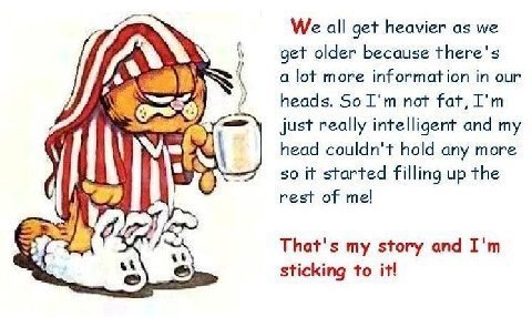 [garfielddiet[2].jpg]