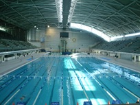 swim