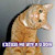 User profile picture thumbnail