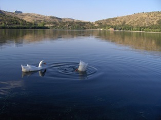 [sumerozvatan_eymir5[8].jpg]