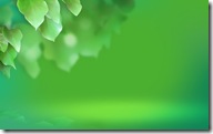 vista-wallpaper-vista-leaf