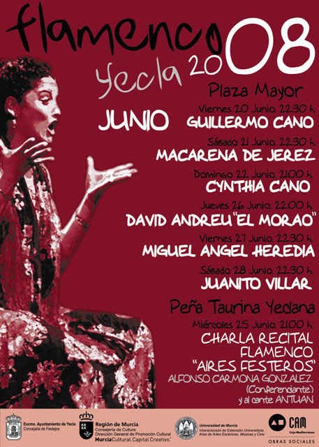 [Flamenco-1[4].jpg]