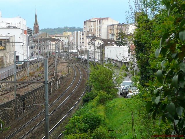 [P1020344[2].jpg]