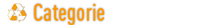 Categorie della Directory