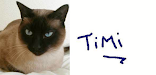 Regalo Gato Siames Adulto