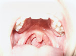 PICT0012.JPG