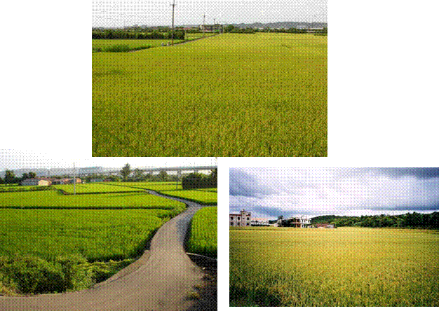 [clip_image068[3].gif]