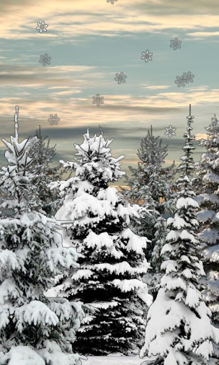 【免費個人化App】Winter Snow Trees 3D LWP-APP點子