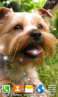 How to install Cute Puppy Live Wallpaper lastet apk for pc