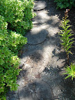 Path