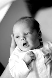 [DSC_0246-1[3].jpg]