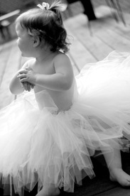 [DSC_0251-1.jpg]