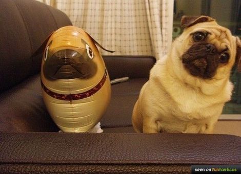 似たもの同士