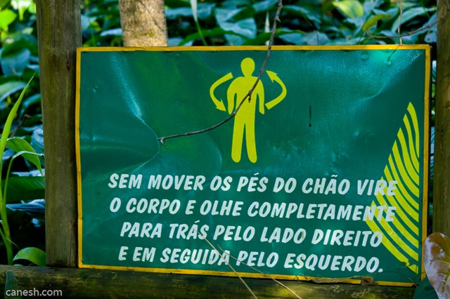 [complicacao[7].jpg]