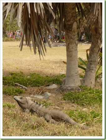 Yucatan-tinou&julie 037