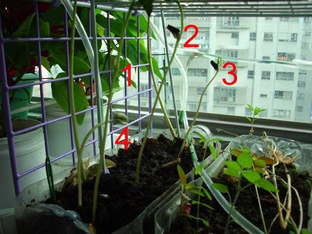 [080613-IMG_0003[2].jpg]