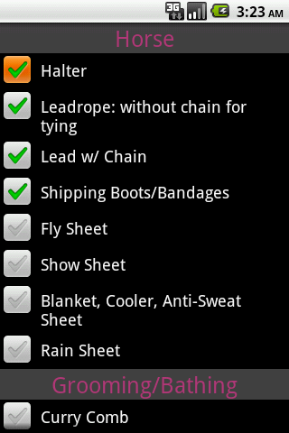 Horse Show Checklist