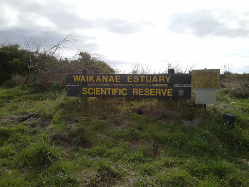 Waikanae Estuary Scientific Reserve Eastern Entrance