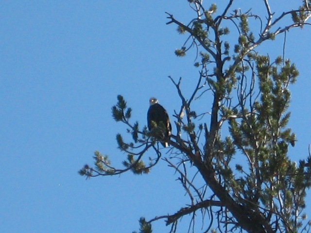 [2008-10-03 099[4].jpg]