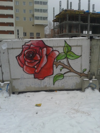 Graffity Rose