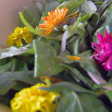 Herb Salad
