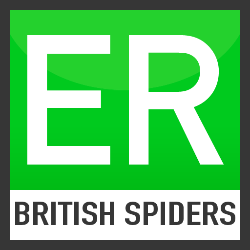 Easy Recorder British Spiders LOGO-APP點子