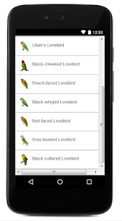 How to install Jenis LoveBird 1.0 mod apk for laptop