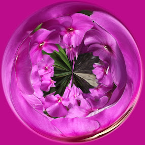 Pretty in Pink by Colleen Legree - Abstract Fine Art ( abstract, circular, fine art, pink, flowers, pretty )