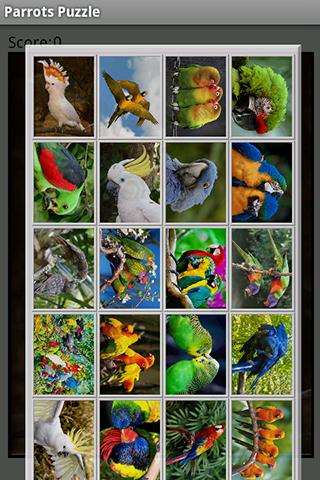 Parrots Puzzle