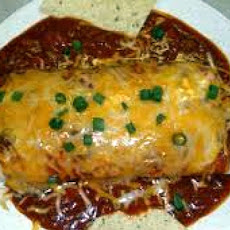 Easy Wet Burrito
