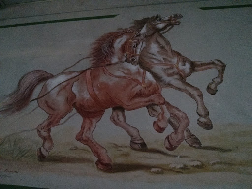 Murales Cavallo