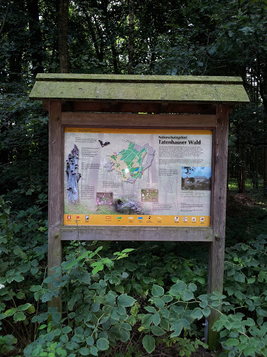 Naturschutzgebiet Tatenhausener Wald Information